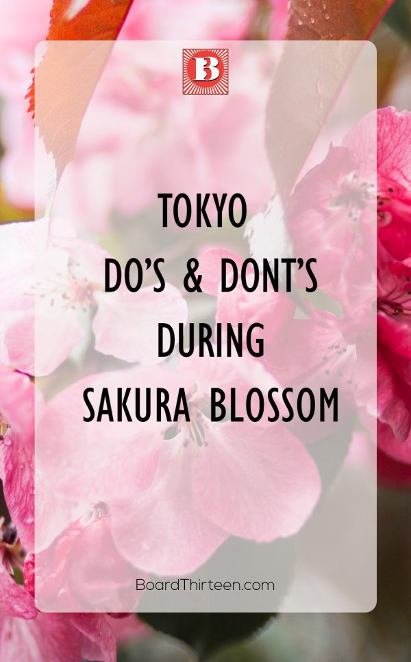Sakura blossom Tokyo Japan