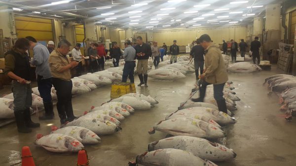 Tsukiji Fish Market review
